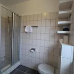 Apartment Profelt's - Steinbock